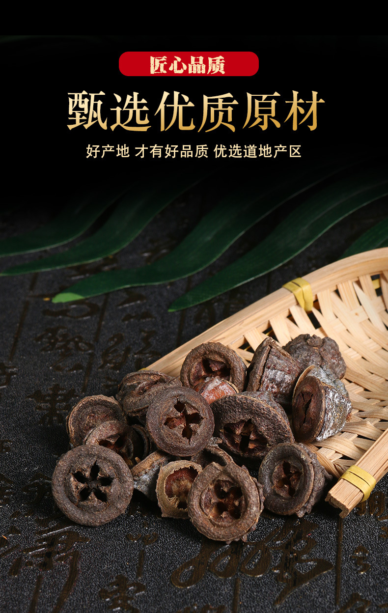 可检测一口钟别名桉树果一口盅金钟菩提蓝桉红喇叭花扣子七胜利果