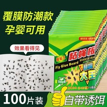粘苍蝇贴纸板强力灭蝇诱杀神器蚊子克星捕捉器家用一扫光自带诱捕