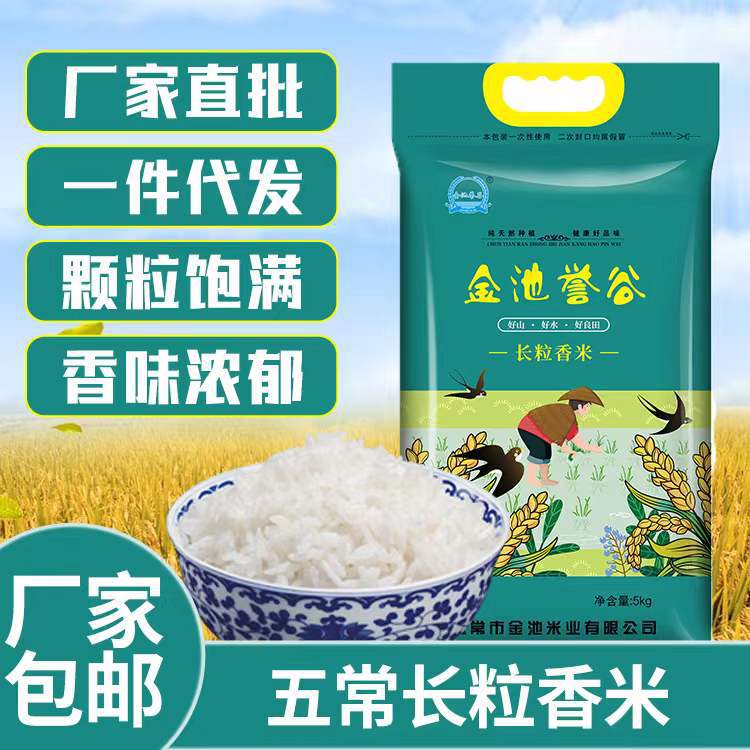 五常大米厂家批发长粒香米 东北大米5kg10斤东北特产当季新米包邮