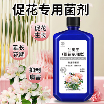 君德兰灵王促花专用款君子兰长寿花玫瑰花金银花茉莉花家庭促花款