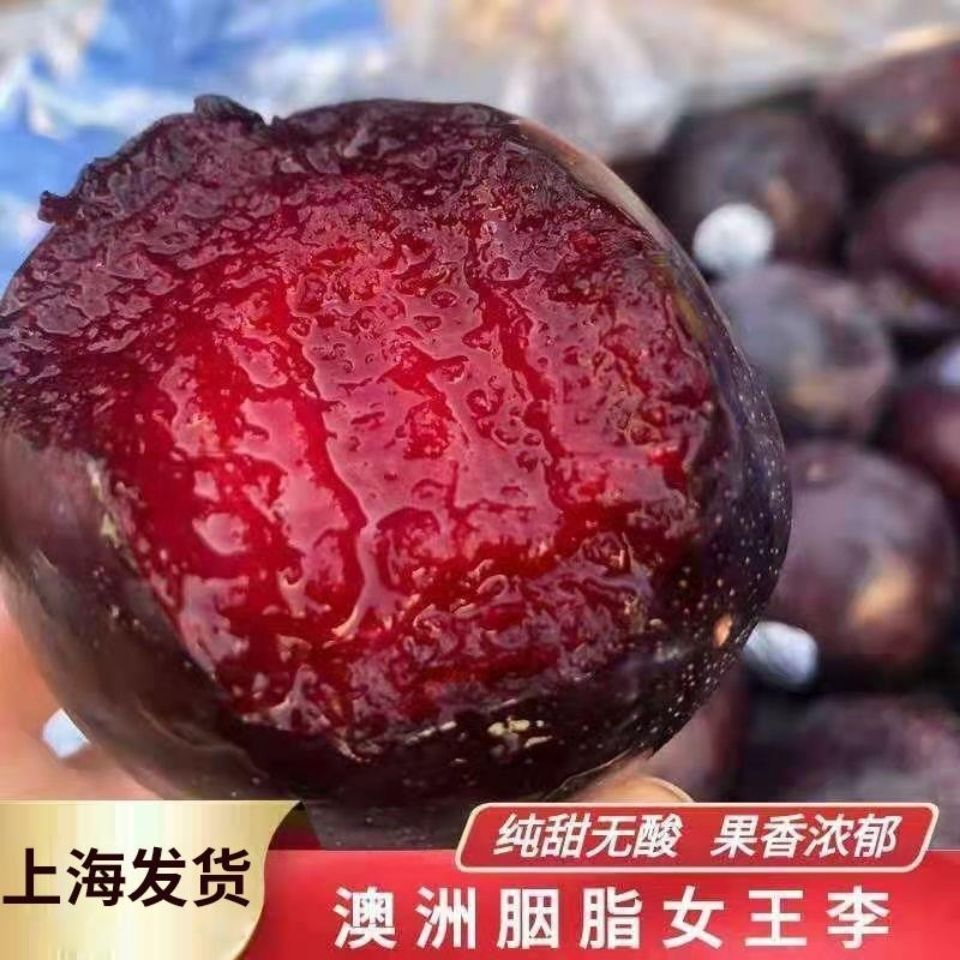 澳洲胭脂女王李2斤恐龙蛋血丝李红肉李子皇后红心李新鲜水果包邮
