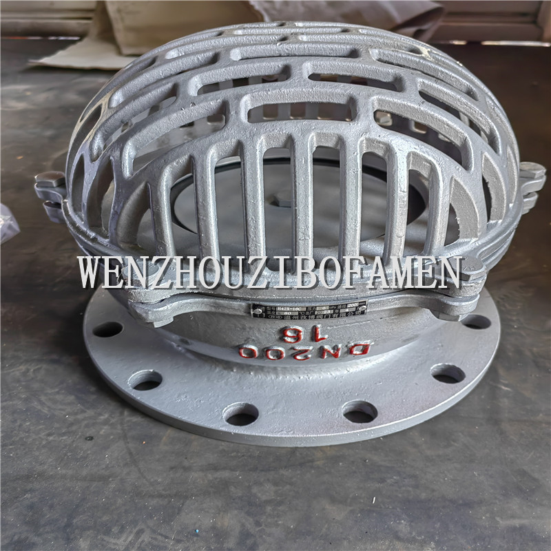 h42x-6c h42x-6p 铸钢 不锈钢升降式底阀 水泵底阀 水泵莲蓬头