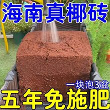 椰砖营养土种菜通用型脱盐椰糠大块耶砖土乌龟冬眠养花土壤种植土