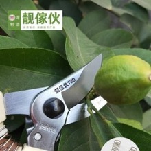 靓傢伙130高级剪园艺修花剪修枝剪果园摘果剪茶园修叶剪盆景剪