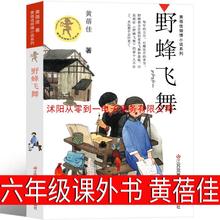 野蜂飞舞黄蓓佳六年级儿童文学倾情小说系列正版书三年级江苏少年