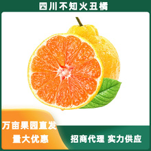 四川不知火丑橘柑橘桔子橘子新鲜水果当季整箱一件代发批发包邮