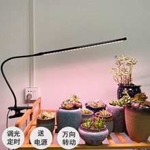 盆栽防徒灯夹子植物生长灯光谱定时功能多肉补光全款上色LED