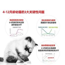 猫粮幼猫36奶糕孕猫粮英短蓝猫波斯小猫粮怀孕哺乳期母猫粮