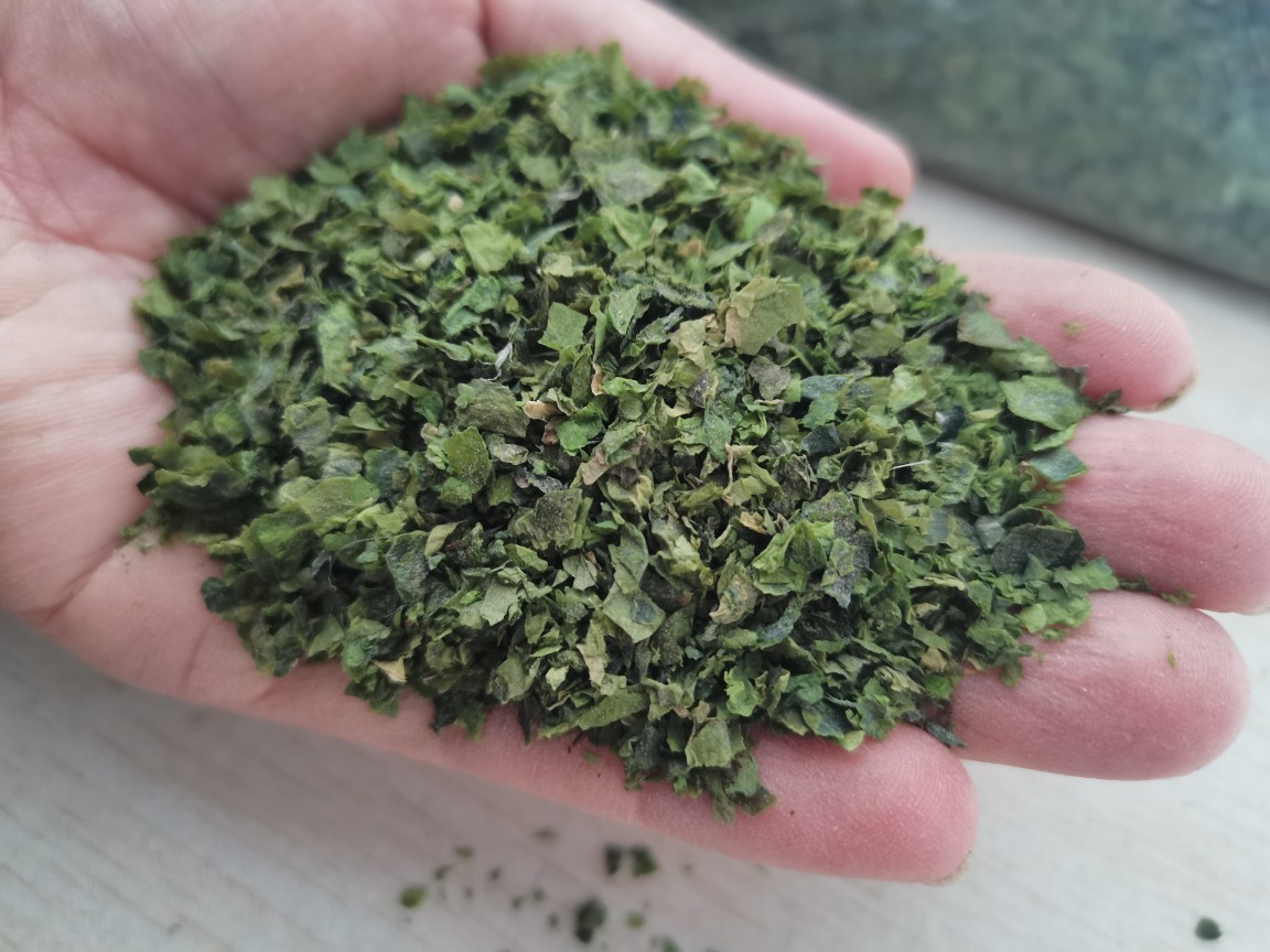 鱼饵海藻粉鱼饵原料海藻片饲料海藻粉海藻颗粒量大从优