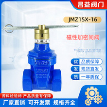 JMZ15X-16Q磁性加密丝扣软密封闸阀不锈钢防盗锁闭阀带锁表前阀