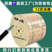 民鑫单模铠装光缆12芯GYXTW工程级室外光缆12芯单模光纤电缆