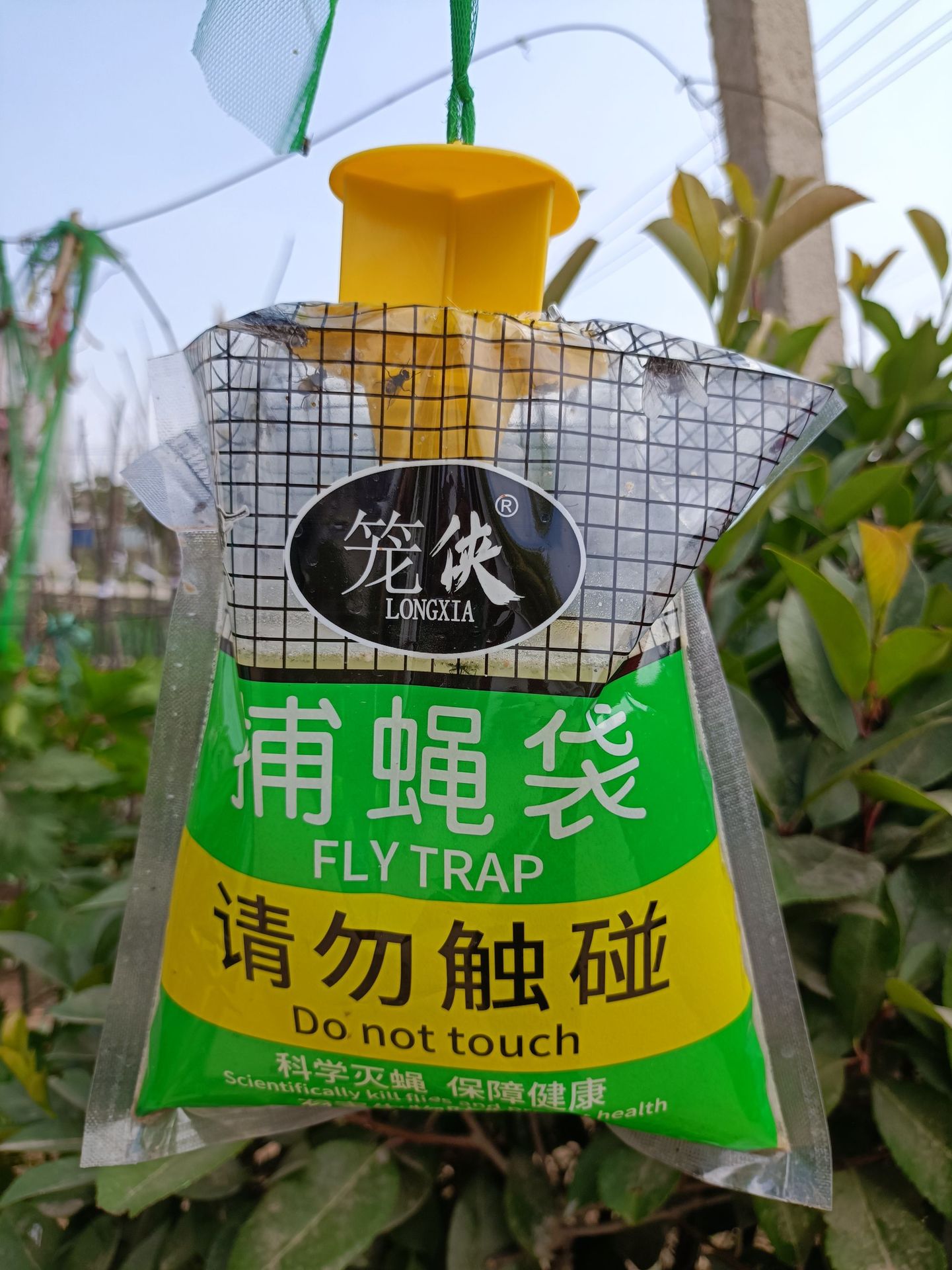 信息素引诱剂