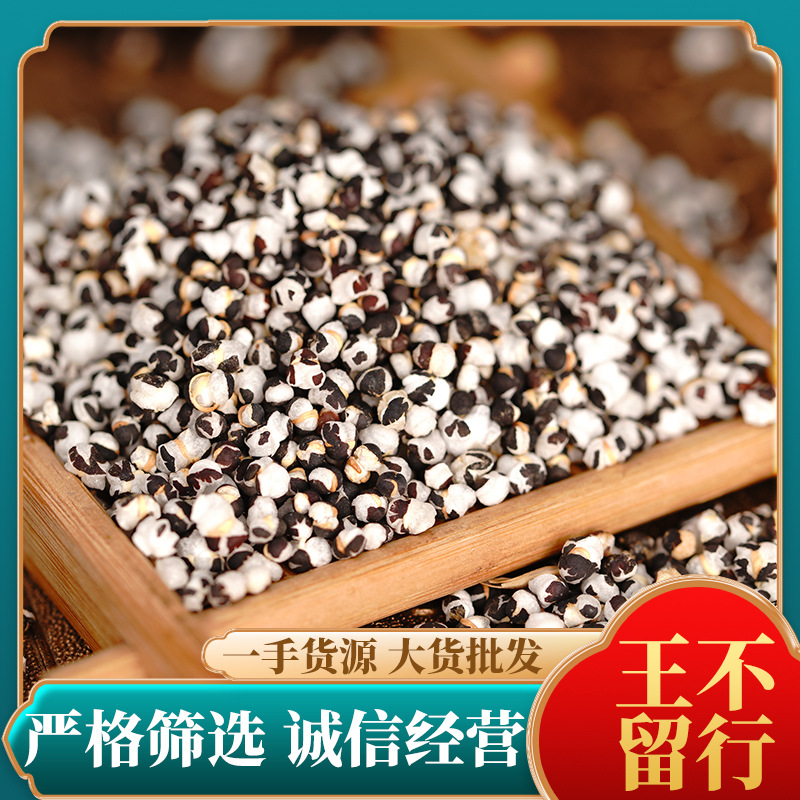 批发王不留行新货一件代发炒王不留籽承接订单大货散装农产品500g