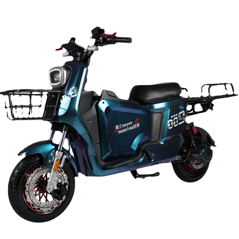 新国标009t锂电电动自行车外卖专用新国标款锂电瓶车小金刚长跑王