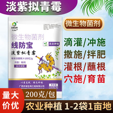 100亿线防宝淡紫拟青霉作物滴灌大姜癞皮淡紫紫孢菌根茎结线虫