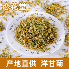 新品花草茶批发洋甘菊散装批发供应洋甘菊花茶产地批发量大价优