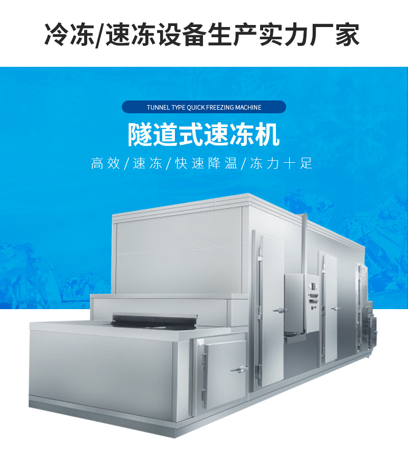 网带式速冻机 平板式速冻机 食品速冻装置 【广东冰雪】设计报价