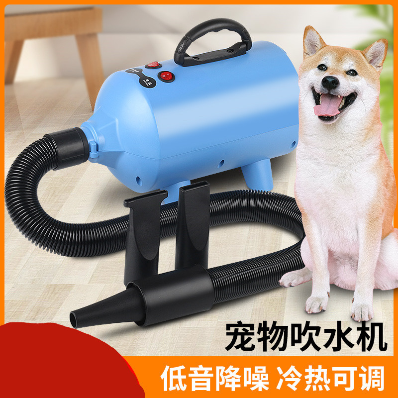 Pet Water Dispenser Hair Dryer High Power Dogs and Cats Hair Blowing Machine Mute Blowing Artifact Wind