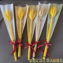 黄金麦穗干花小麦客厅田园装饰展会演出道具开业大麦花束摆件其他