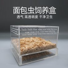 鲜活养殖面包虫大麦黄粉虫饲养盒专业杜比亚蟋蟀饲料养殖盒
