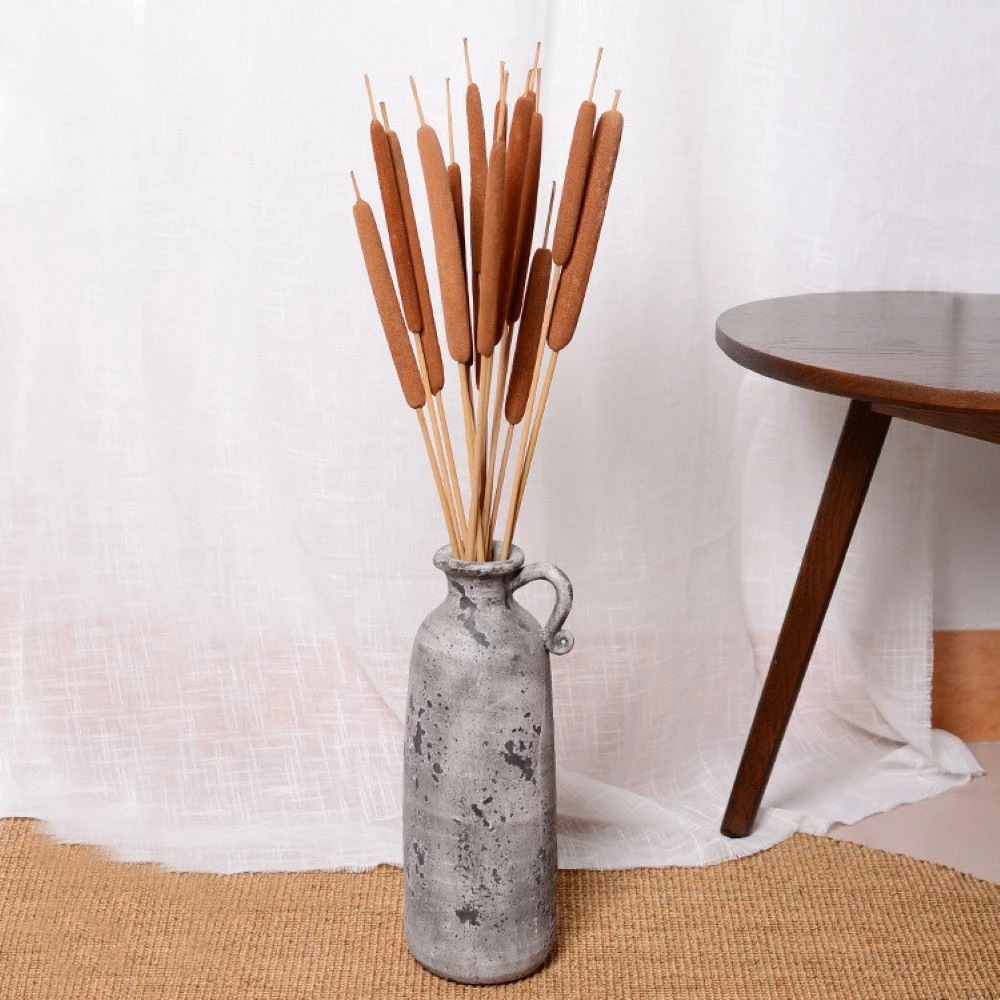 天然干花枝蒲棒干花 水蜡烛 居家餐桌茶几花瓶插花 文艺复古装饰