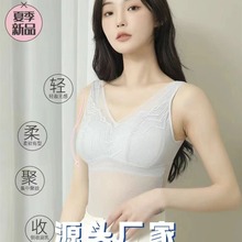 春夏新款塑身背心塑型高弹美背蕾丝带胸垫无钢圈收副乳文胸V打底