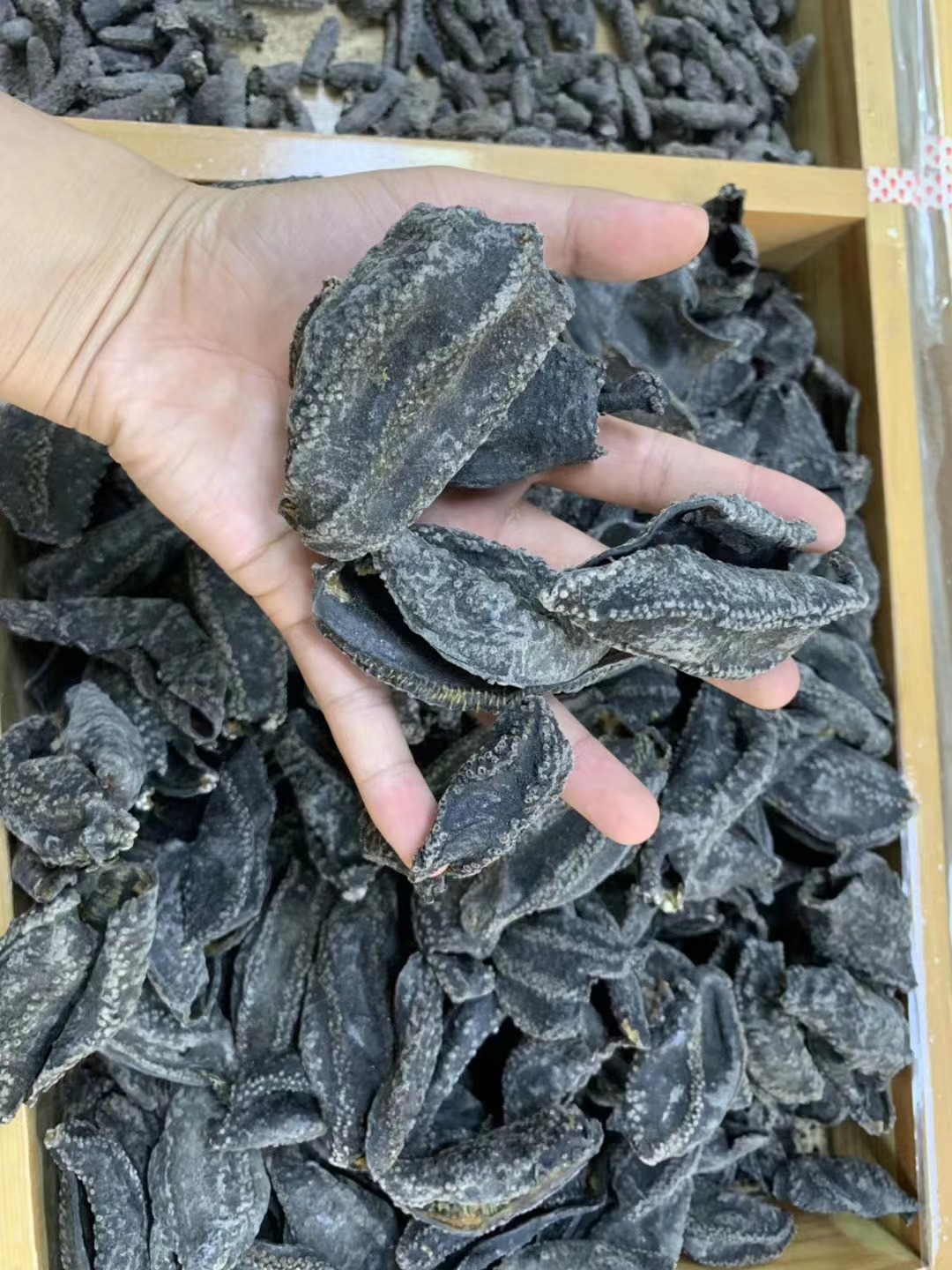 产地直供 俄罗斯海参皮淡干野生水产干货500g 俄罗斯去筋有筋参皮