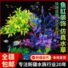 鱼缸造景装饰水族箱布景套餐摆件仿真水草海草海带塑料人造花跨境