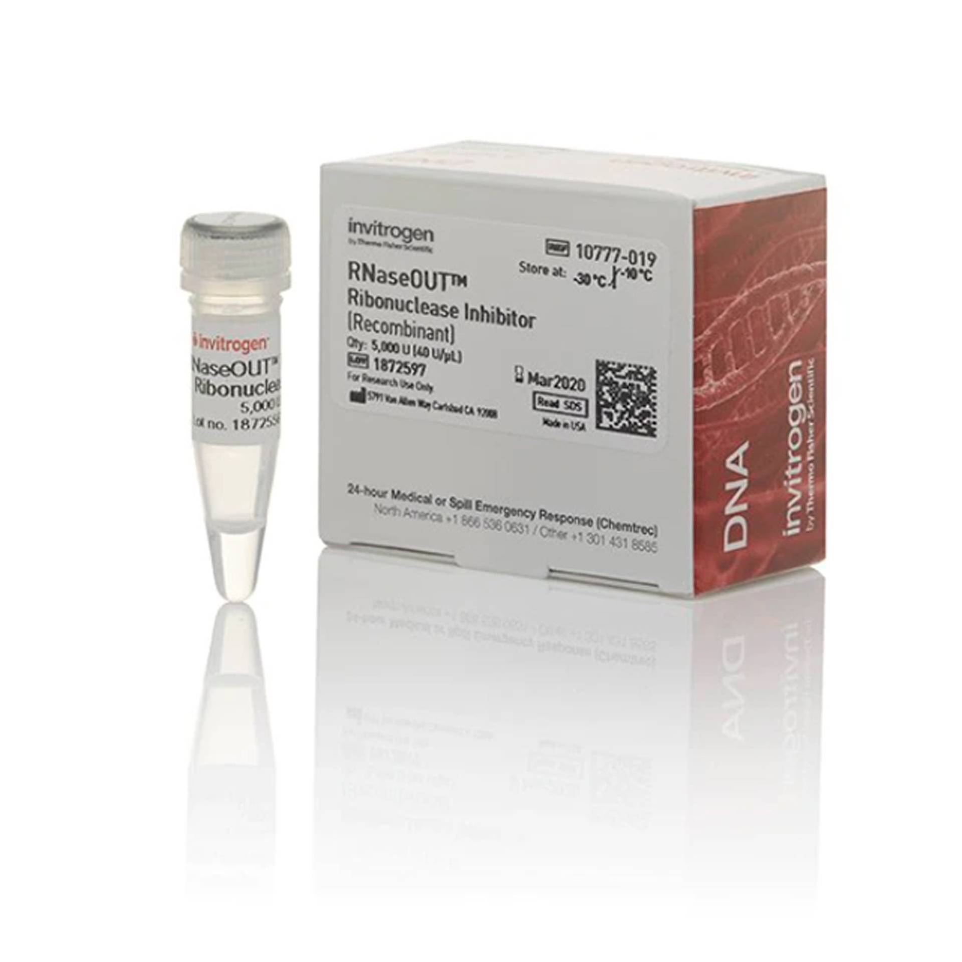 赛默飞invitrogen10777-019rnaseoutrecombinant ribonuclease