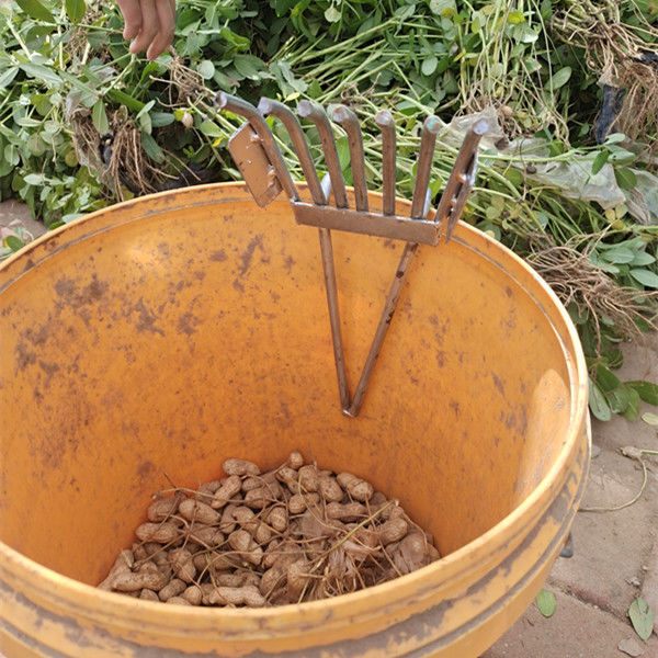 脱花生神器小型摘果机器打拨手工分离家用干湿两用收花生摔果爪子