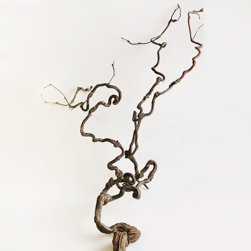 龙枣干枝插花花道枝条搭配枝手工diy创意材料天然枯木造型杈枯枝