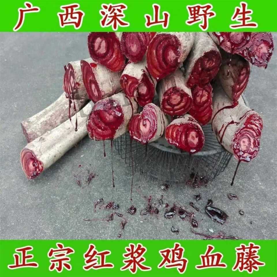 红浆鸡血藤 野生鸡血藤大血藤 鸡血屯 老血藤各规格齐全-阿里巴巴