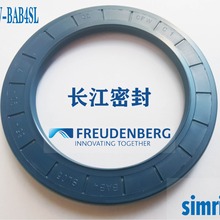 德国SIMRIT CFW骨架油封BAB4SL 65-85-10/12 耐压骨架油封