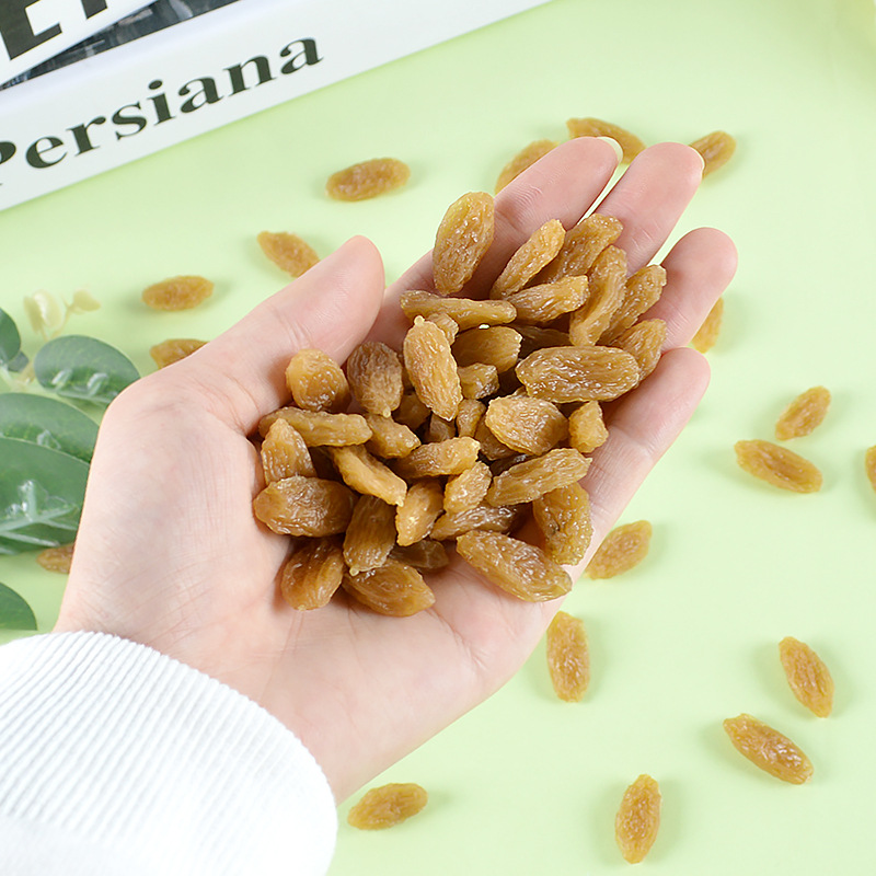 pvc仿真食物假葡萄干模型影视短视频蜜饯道具diy仿真蛋糕模型配件