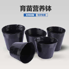 营养育苗盆吹塑一次性黑色塑料杯园艺种植种菜花卉苗圃装土盆批发