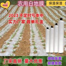 农用薄膜黑色农业种玉地膜农用种植玉米2米宽果树西瓜种花土豆