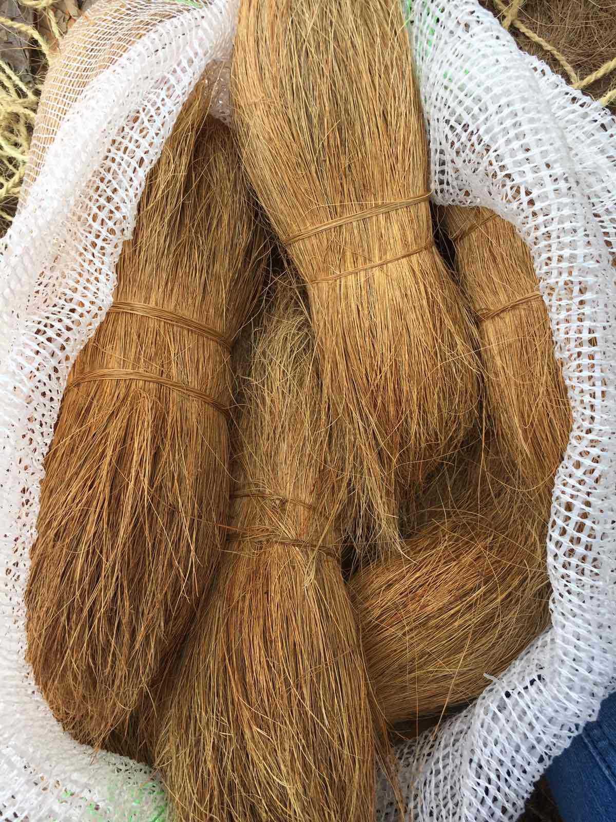 现货斯里兰卡椰棕丝山棕丝椰棕榈丝 coir fiber, coconut fiber