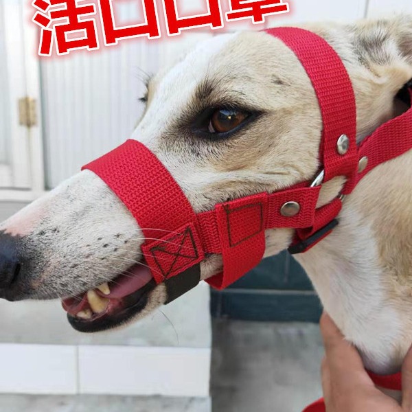 细狗防咬狗嘴套防叫乱吃中毒灵缇嘴套惠比特犬口罩格力犬活口口笼