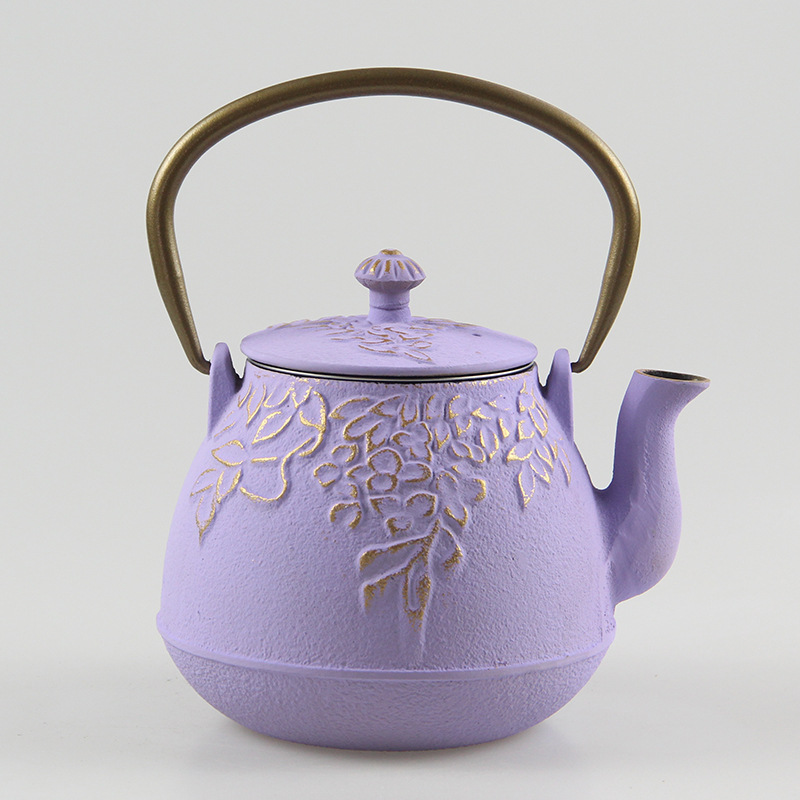 外贸出口欧美款彩色精美铸铁壶煮水泡茶花茶家用软装摆件户外茶壶