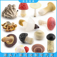 跨境仿真真菌蘑菇模型摆件香菇白毒鹅膏菌真姬菇松茸双鲍菇毒绳伞