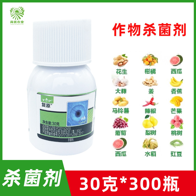 济南一农 复原 325g/l苯甲·嘧菌酯 水稻纹枯病 农药杀菌剂30克