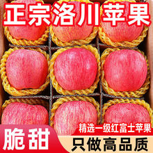 【洛川苹果】陕西洛川红富士苹果冰糖心脆甜新鲜水果批发