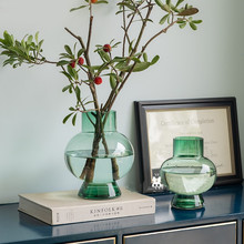 创意新款大肚子玻璃彩色花瓶小口圆花瓶水养插花家装客厅餐桌摆件