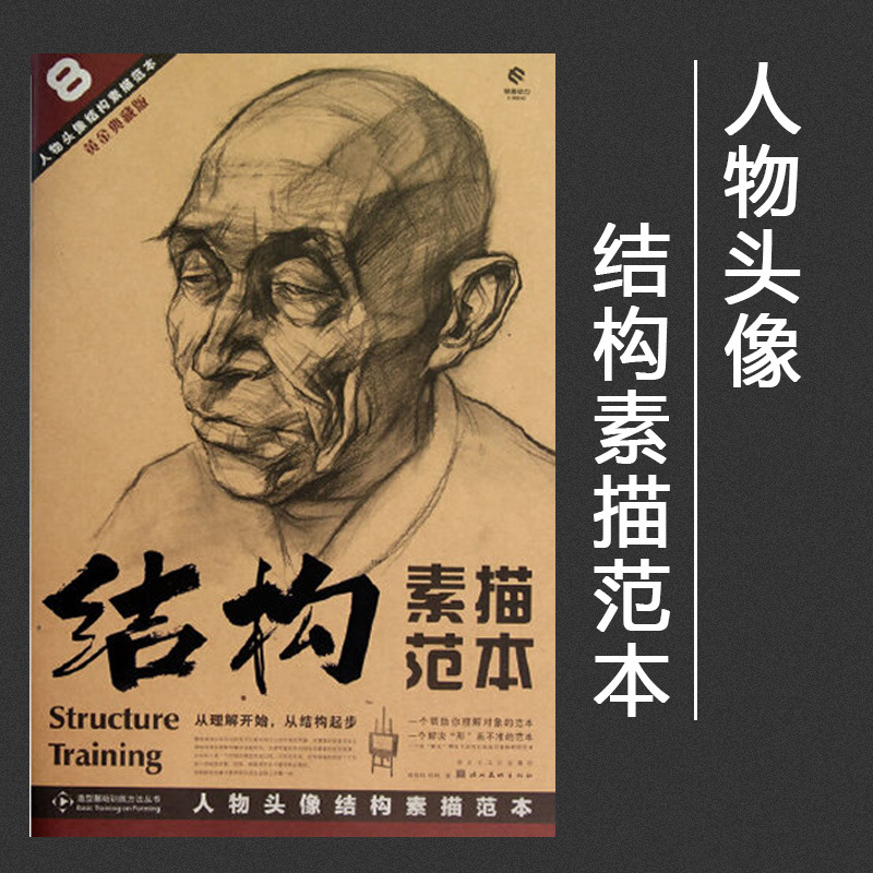 结构素描范本8人物头像结构素描范本美术绘画书籍技法结构联考校