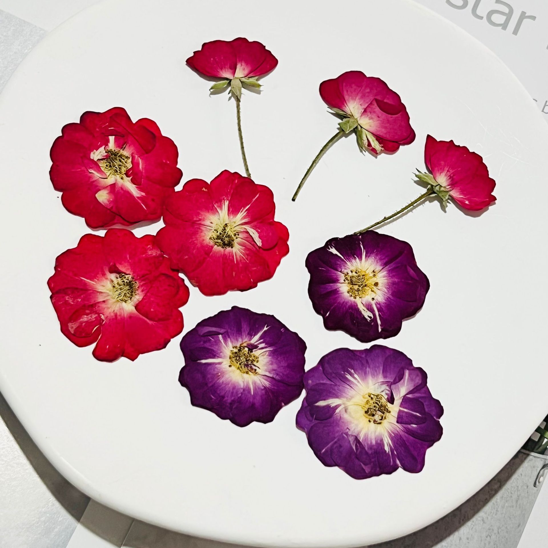 心型玫瑰花 侧压月季干花批发真花标本儿童diy手工滴胶手机壳押花