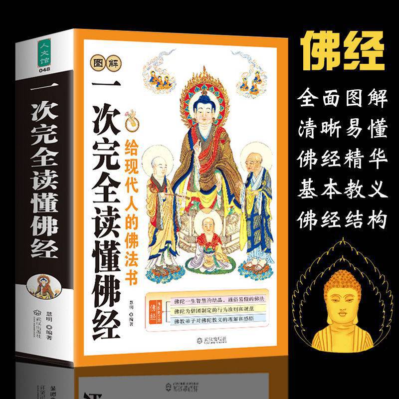 图解佛经佛经全套完整版一整套佛教书籍经书大全佛经现代人的佛法