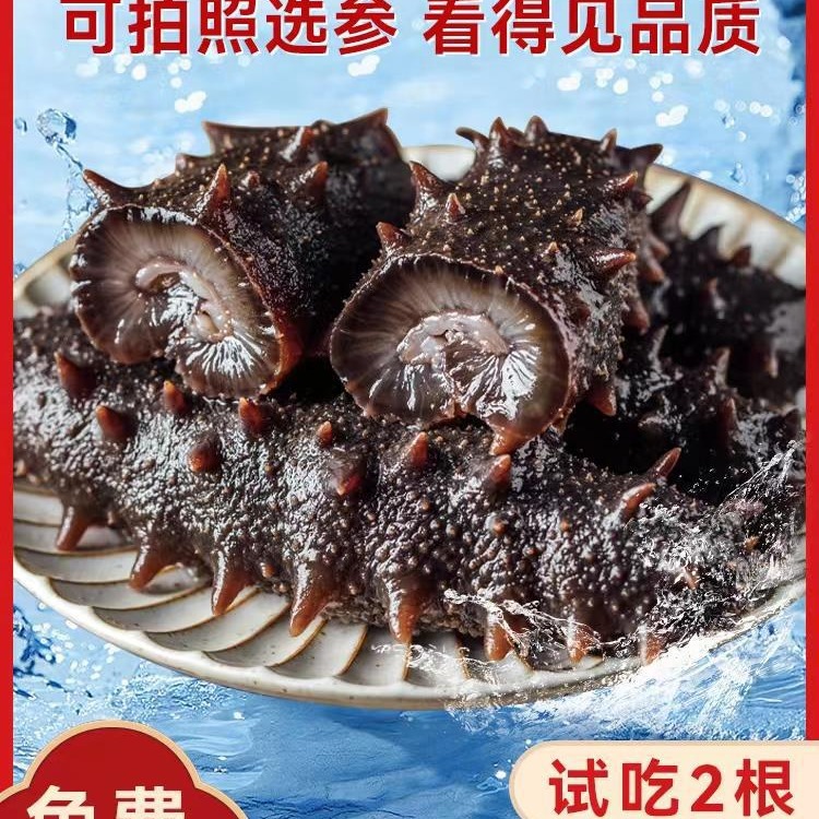 大连海参野生即食海参500g鲜活辽刺参海生刺参盒装冻包邮-阿里巴巴