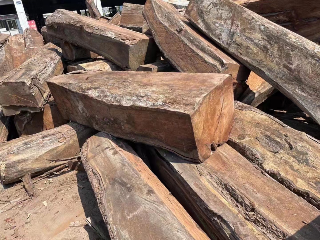 刺猬紫檀    马里刺猬紫檀    冈比亚刺猬紫檀    塞拉刺猬紫檀