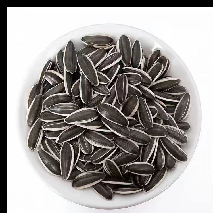 生瓜子新货葵花籽特大薄皮颗粒原味瓜子袋装内蒙古新鲜2斤5斤葵花