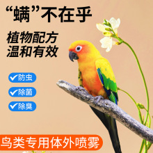 出口版精装版采花狼男用抑菌喷剂体验装 不麻木无依赖